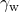 \gamma_{\mathrm{w}}